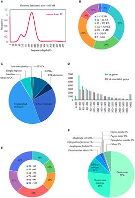 First Draft Genome for Red <mark class="highlighted">Sea Bream</mark> of Family Sparidae